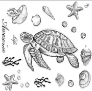 Sea Turtle and Sea life clear cling stamps