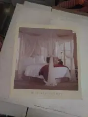 NEW Mombasa Majesty Canopy Bedding White Sheer Mosquito Netting Fits Full - King