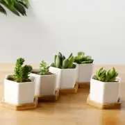 1-4Pcs Ceramic Flower Pot Succulent Cactus Planter Pots Container Bonsai Planter