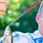 Fish Hook Remover