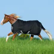 Amigo Stock Horse Turnout Sheet 78