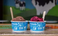 在飛比找KLOOK 客路優惠-Ben & Jerry's Ice Cream at Viv