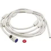 Feed Hose, Zod Polaris 180/280/380/3900, w/Wall Fitting