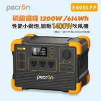 在飛比找蝦皮購物優惠-現貨 E600LFP 1200W 性能小鋼炮 高CP 140