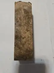 Stabilized Spalted Maple #102