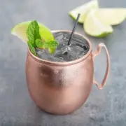 USA SELLER MOSCOW MULE COOPER MUGS (2) 14 OZ LIBBEY MM-100 FREE SHIP USA ONLY
