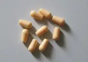 10x Cream 3 Way Toggle Switch Tip Pickup Selector Switch Cap for Epiphone LP