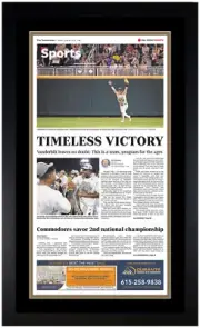 2019 Vanderbilt Commodores CWS Champs Matted & Framed Photo 17x28 B