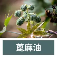 在飛比找蝦皮購物優惠-『現貨』蓖麻油 Castor Oil (PP等級) 500m