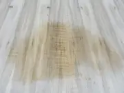 Maple Spalted Ambrosia wood veneer 48" x 24" x 1/40" with wood backer AA