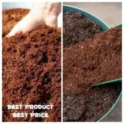 Coconut Peat - Coconut Coir fibre