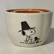 Peanuts Rae Dunn Snoopy Charlie Brown 4 Nesting Measuring Cups Thanksgiving