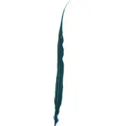 10" to 20" Golden Pheasant Side Tail Feather - Dark Teal ((SECONDS))