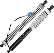 1 Pair Rear Left & Tailgate Strut Compatible For BMW 5 G30 G38 F90 Tailgate Electric Strut 51247366404 51247366403