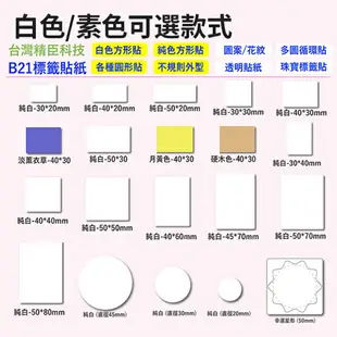 精臣 B21/B21S 拾光 專用標籤紙 標籤機 專用標籤紙 原廠標籤貼紙 台灣總代理公司貨