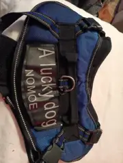 Nomoe. A Lucky Dog. Blue Harness Size L