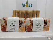 Bath & Body Works 2pcs FALL IN BLOOM Shea Butter Bar Soap FREE Bamboo Soap Dish
