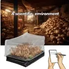 Square Mushroom Monotub Kit-Inflatable Mushroom Grow Bag With Plugs & Filters