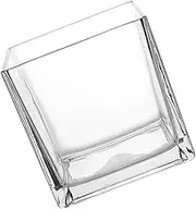 Square Glass Vase Cube Vase Modern Decorative Vase Home Office Flower Planter