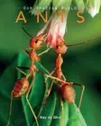 Kay De Silva Ants (Paperback)