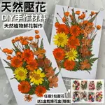 【A-ONE】真花壓花 永生花 春色粉菊花 DIY水晶滴膠 飾品 手帳裝飾 乾燥花 植物 押花標本 書籤