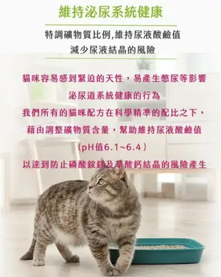 心靈雞湯 經典系列 幼母貓配方 雞肉佐火雞肉 13.5lb(6.1kg) 高蛋白質貓糧 4種肉類 低碳水化合物 貓糧