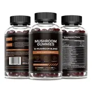 Pure Shilajit Supplement Gummies with Black Seed Oil,High Potency Pure Himalayan