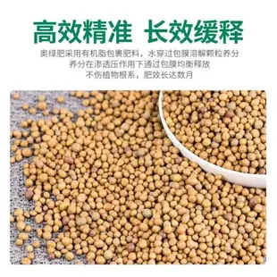 奧綠緩釋肥官方旗艦店奧綠肥318通用型顆粒多肉A2蘭花專用肥料1號