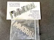 Vintage Political I'MMORAL Jewelry Pin By Tucky Ramsey Democrat Protest