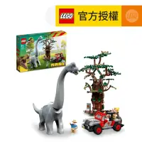 在飛比找友和YOHO優惠-LEGO® Jurassic World™ 76960 Br