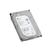 Seagate Skyhawk Series 4TB Surveillance Hard Drive - 3 year warranty