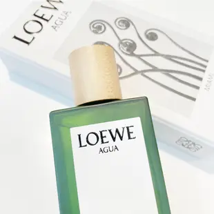 LOEWE AGUA Miami 盛夏風情 淡香水 100ml〔10點半香水美妝〕