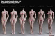 1/6 Seamless Female Body Tbleague Phicen Action Figure For 12inch Figure Model