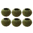 6 x Moss Ball Garden Planter Orchid Container Window Box Garden Ornament 9cm