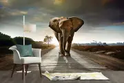 3D Dolphine Under Cloudy Sky Self-Adhesive Wallpaper Mural Home Sticker Roll