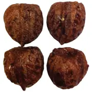 Veggie Patch Nibblers Walnuts - 4pk
