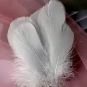 100Pcs Gray Natural Dyed Goose Feathers, 3-5Inch Craft Feathers Assorted Colors