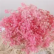 400g, 19.5-Inch Long Preserved Baby's Breath Flower Bouquets,Natrual Gypsophila Long Lasting Flowers for Vase Arrangements Home Decoration Photo Props Parties and Weddings,Eternal Flowers.(Light pink)