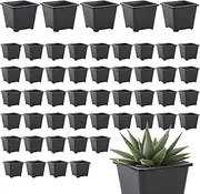 Zhadyu Seedling Starting Pots - 50x Square Growing Pots | Germination Trays, Gardening Accessories for Indoor and Outdoor