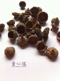 在飛比找Yahoo!奇摩拍賣優惠-~童心謠~ ☆華德福☆橡果帽．手作．Steiner玩具