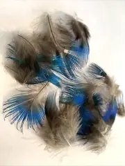 18pcs Seconds Natural Blue Peacock Neck Plumage Feathers DIY Craft Fly Tying