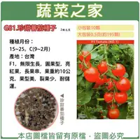 在飛比找樂天市場購物網優惠-【蔬菜之家】G81.珍甜蕃茄種子(共有兩種包裝可選)