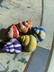 5 Hand Painted Shells For Crafting