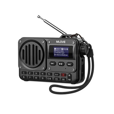 Portable Bluetooth Speaker with FM Radio,LCD Screen Display, Antenna, AUX Input