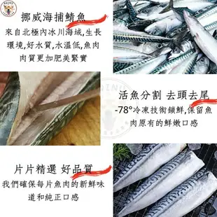 快速出貨 現貨 QQINU 鯖魚 挪威薄鹽鯖魚片 鯖魚 冷凍食品 魚