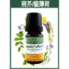 【歐丹尼】荊芥/貓薄荷/貓草精油10ml-單方純精油