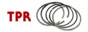 TP PISTON RING SET 1.00MM+ FOR TOYOTA LANDCRUISER HJ45 H 3.6L DYNA HU3 (for: Toyota)