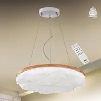 在飛比找momo購物網優惠-【必登堡】LED北歐星睿吊燈 B561274(單吊燈/餐吊燈