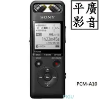 在飛比找露天拍賣優惠-平廣 送繞台公司貨保 SONY PCM-A10 數位 錄音筆