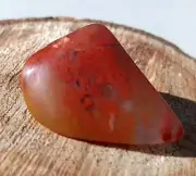 Petrified Wood Polished Rare Limb Cast Yellow Cat Utah Quartz Red Wisp Inclusion